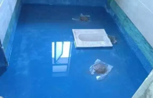 青岛装修常用的四种防水材料都有什么特点